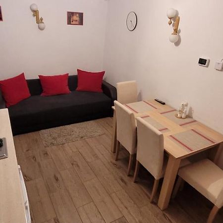 Apartament Miruna Sibiu Filarmonicii ภายนอก รูปภาพ